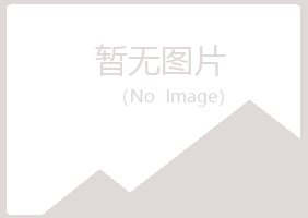 日照夏岚运输有限公司